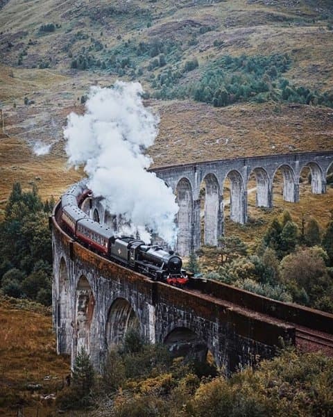 Edi Chauffeurs photo 4