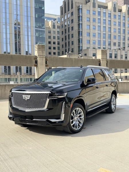 Imagine Exotics & Luxury photo 6