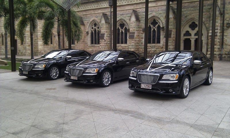 Limoso Australia photo 2