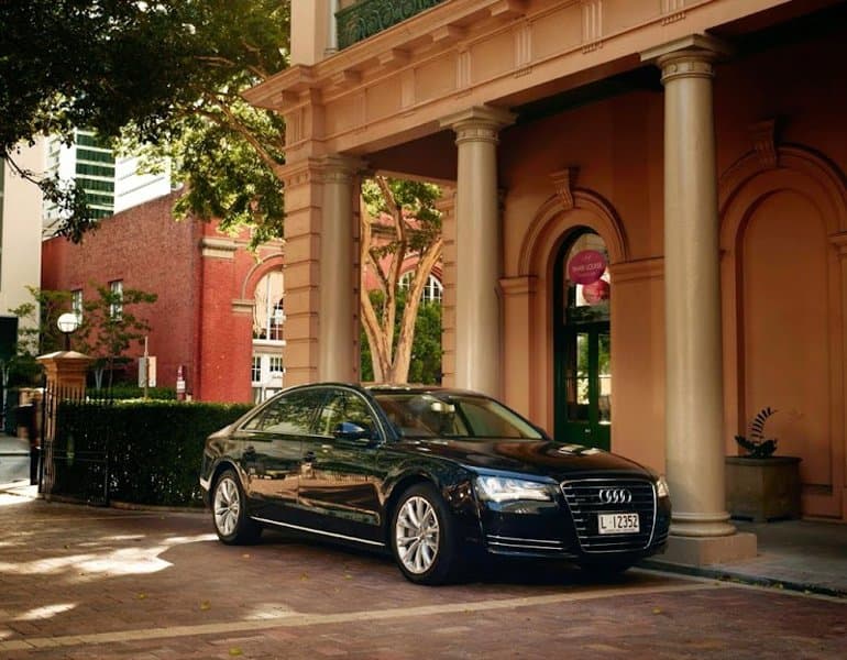 Limoso Australia photo 4