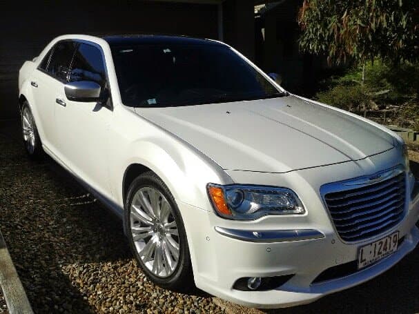 Limoso Australia photo 5