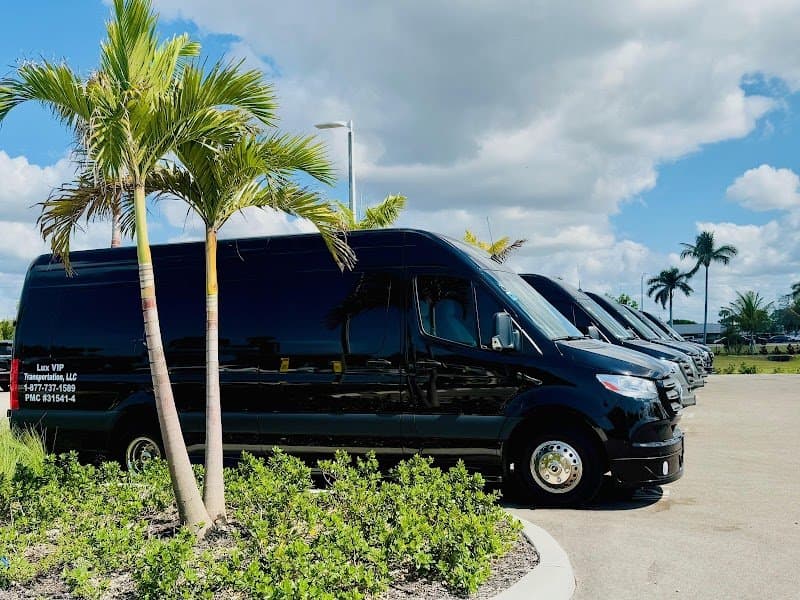 Lux VIP Transportation photo 2