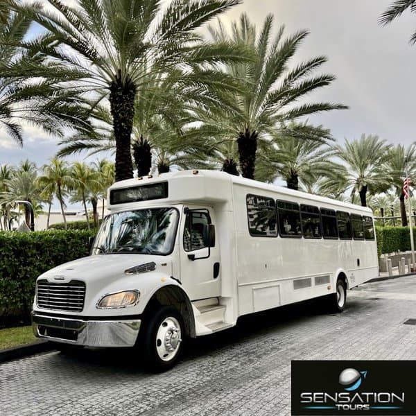 Sensation Tours photo 4