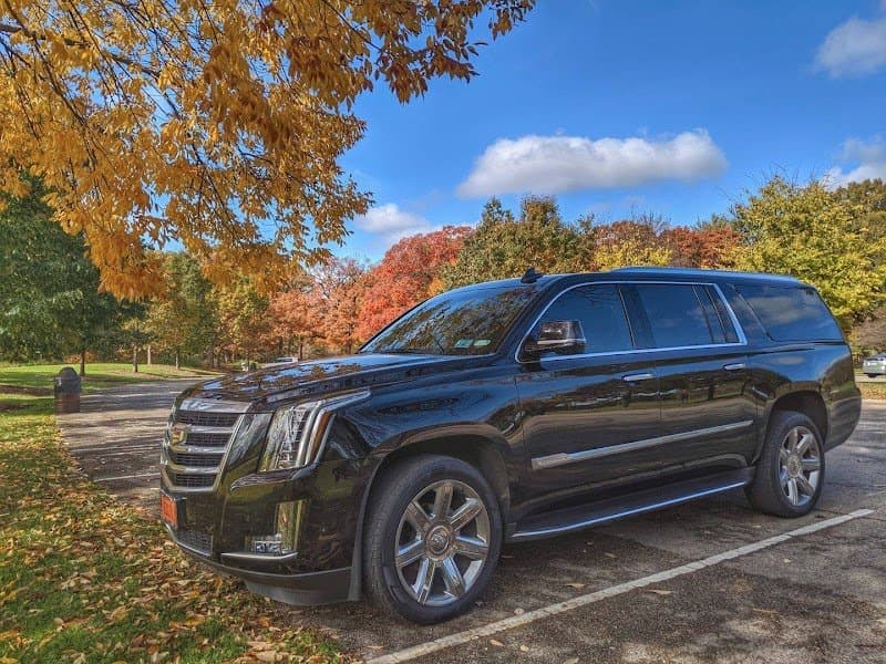 Skyline Chicago Limo photo 3