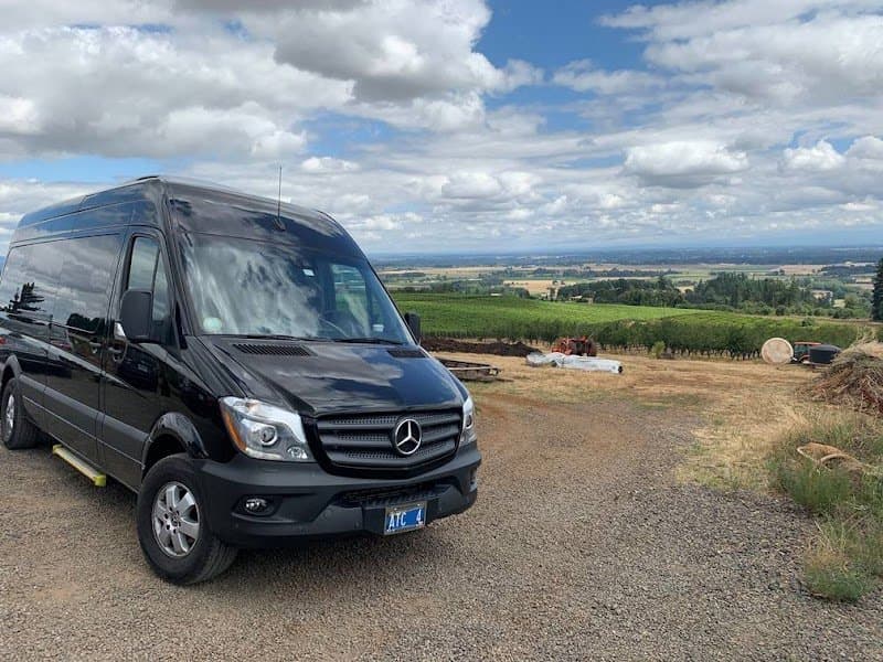 American Town Car photo 4