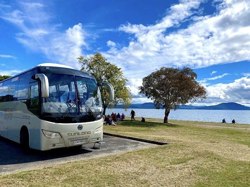 Bay Tours And Charters photo 3