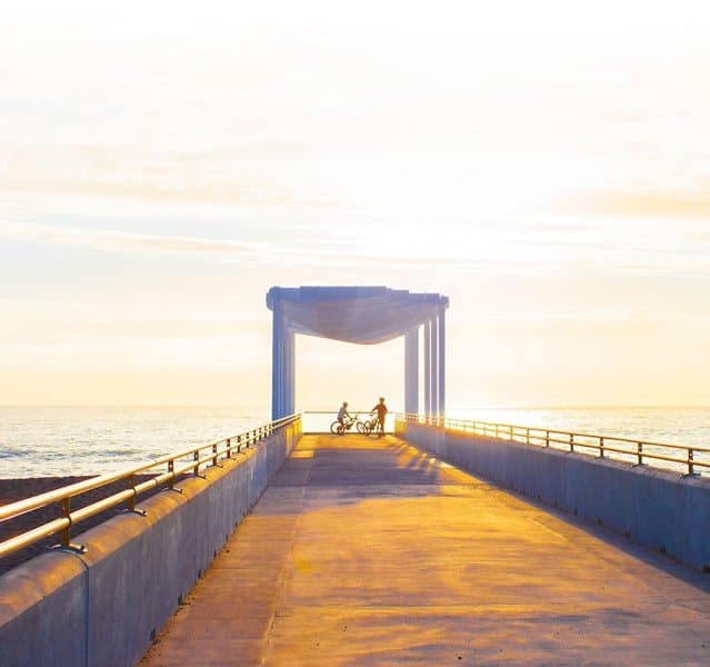 Bay Tours And Charters photo 6