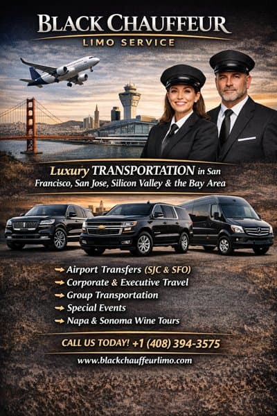 Black Chauffeur Limo Service