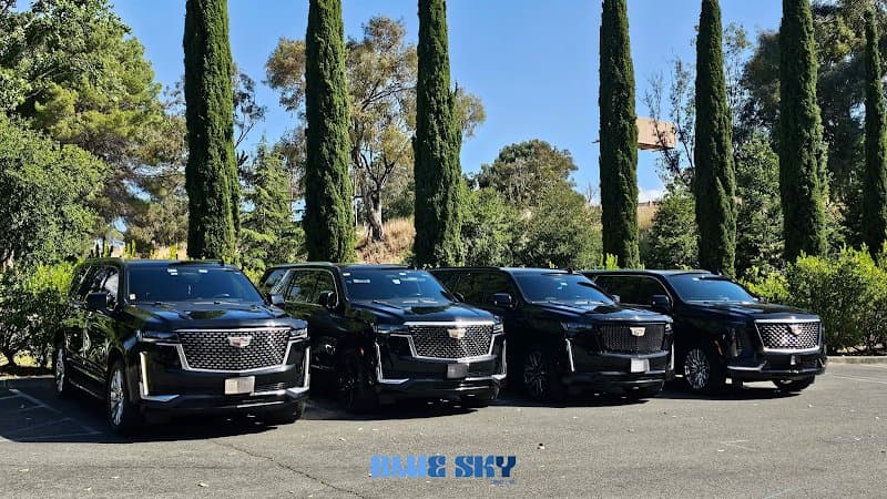 Blue Sky - Executive Black Car Service San Francisco photo 3