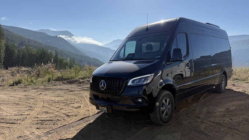 Delta Town Car photo 4