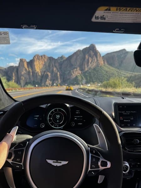 Desert Luxe Exotics photo 5