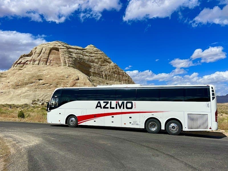 discount limousine photo 4