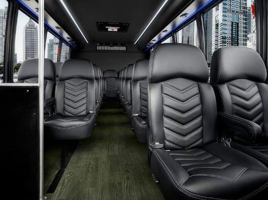 Echo Limousine photo 6