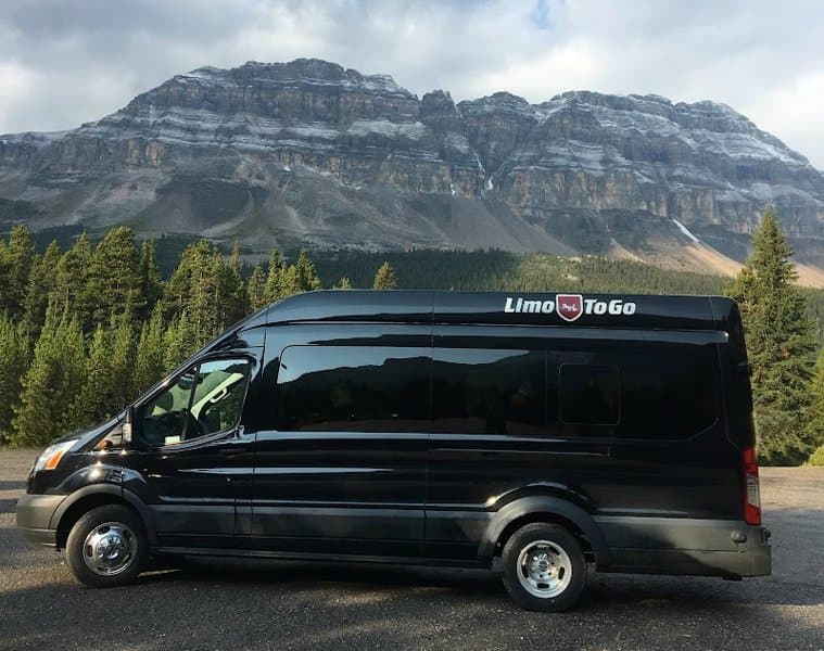 Limo To Go Inc. photo 6