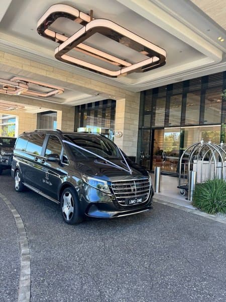 Little Black Limo photo 3