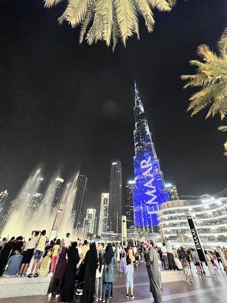 Safari Limo Luxury Transportation photo 5