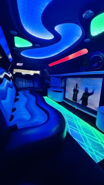 Show Limousines - Chrysler & Hummer Stretch Limousine Hire - Wedding Car Hire - Sydney & Wollongong photo 6