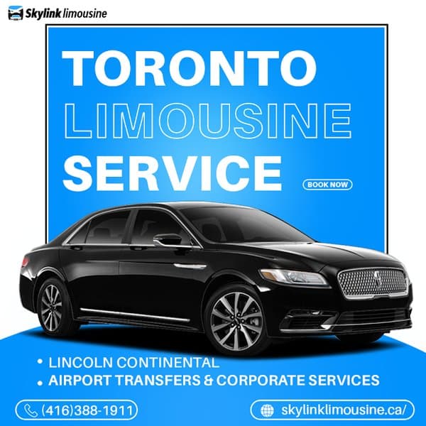 Skylink Limousine service