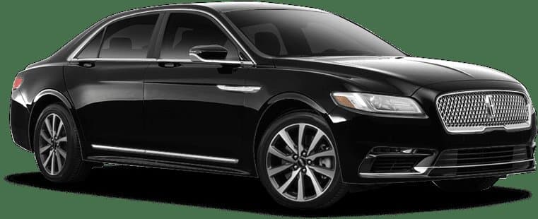 Skylink Limousine service photo 6