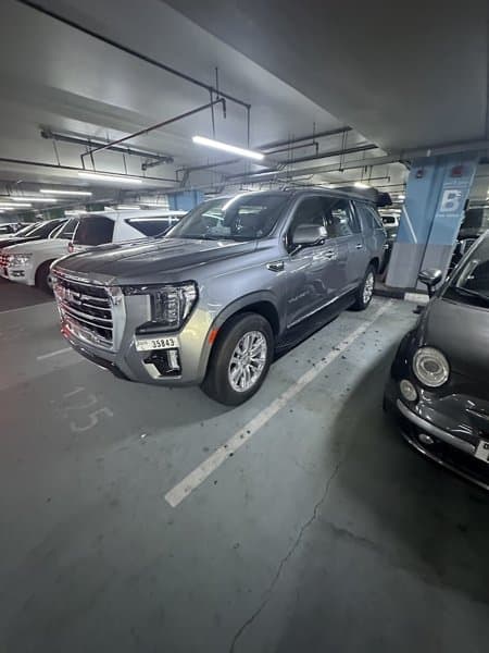 Starlet Limousines Passenger Transport by Luxury Car LLC photo 3