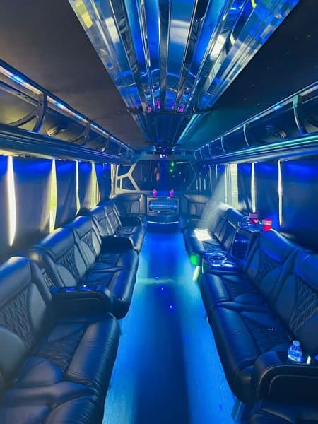Status Limousine photo 3