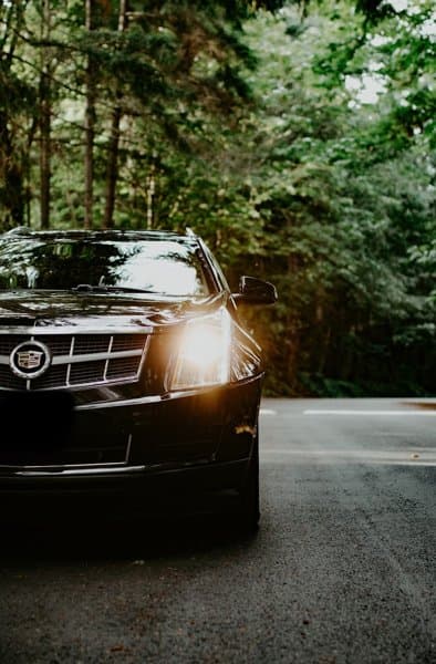 Top Class Chauffeurs photo 6