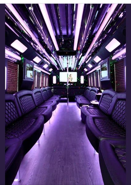 Tracey Nicoll'S Limousine & Hummer Rentals In New Orleans photo 2