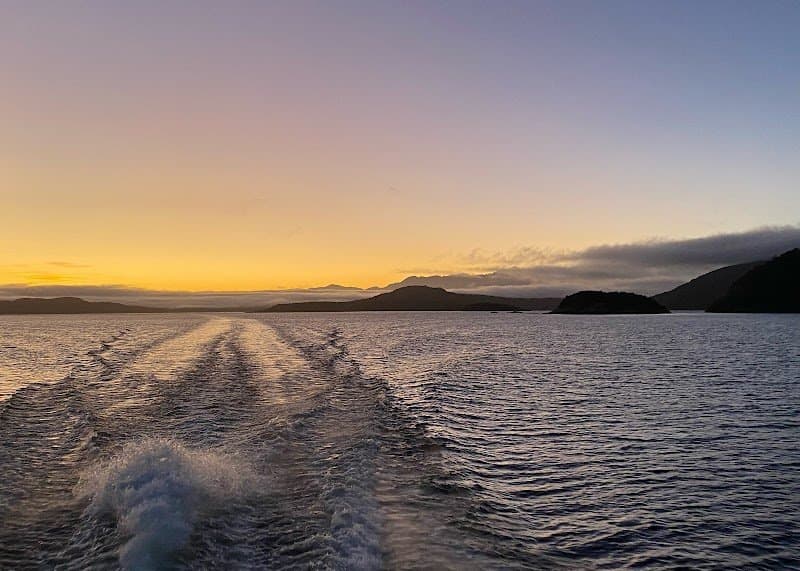 YourNZDriver photo 4