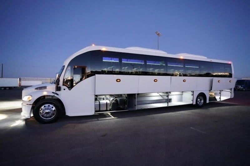 Ambassador Limo photo 2