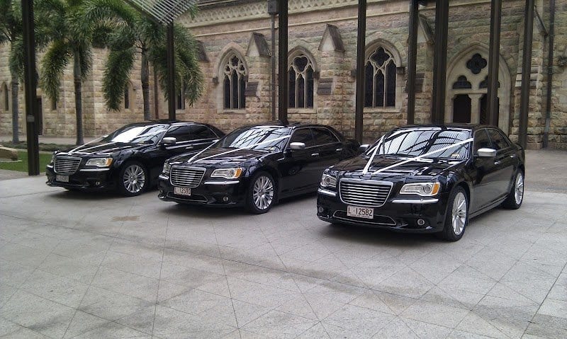 Limoso Australia photo 2