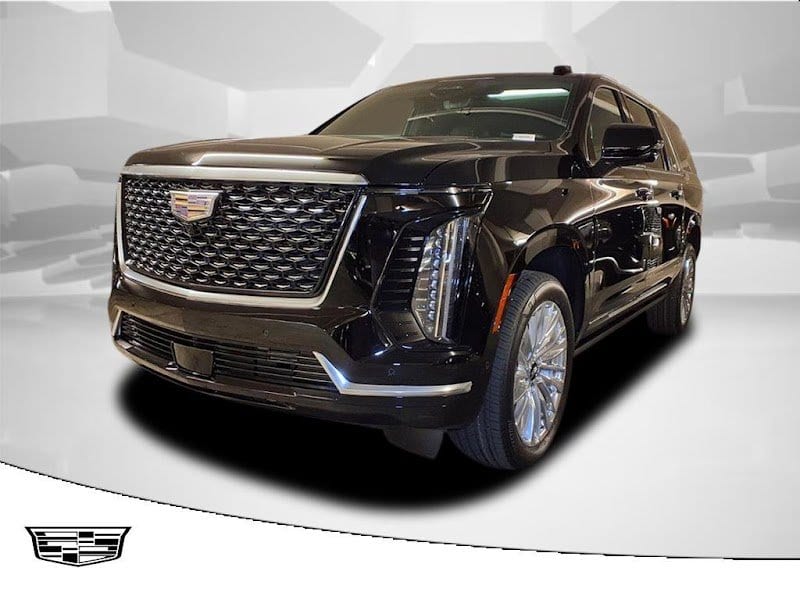 Presidential Limousine photo 1