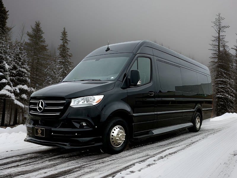 Presidential Limousine photo 4