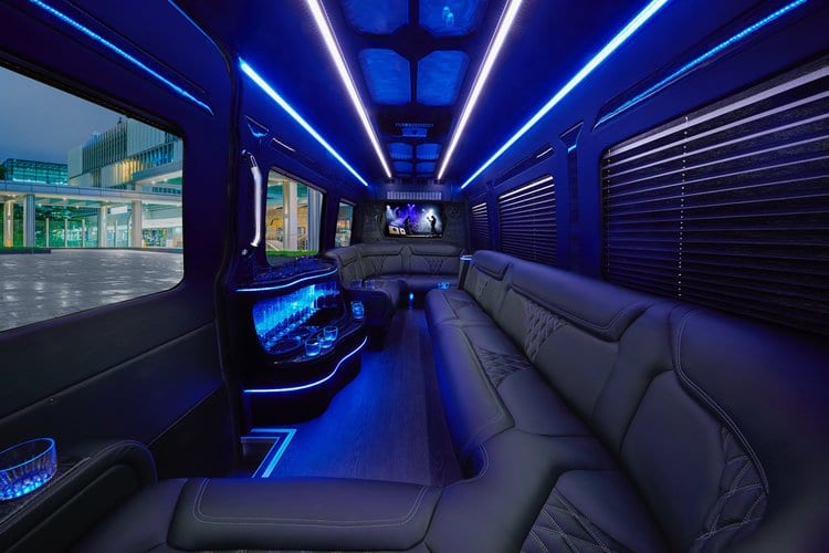 Riculfy Livery LLC photo 4